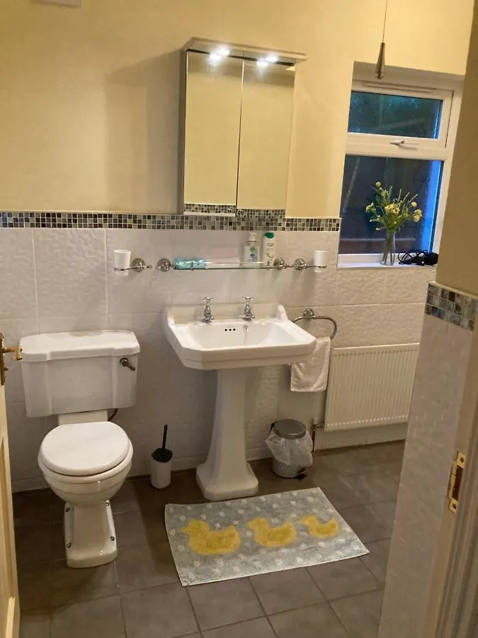 Mountroyal Victorian Studio Self Catering Apartment 3 Belfast