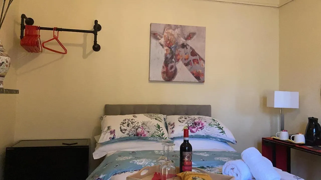 Mountroyal Victorian Studio Self Catering Apartment 3 Belfast