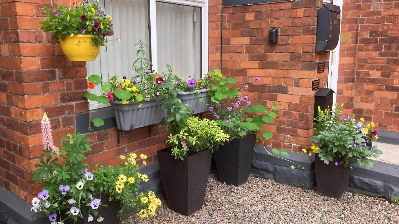 Mountroyal Victorian Studio Self Catering Apartment 3 Belfast United Kingdom
