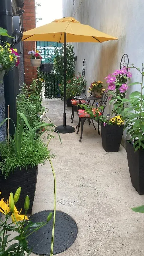 Mountroyal Victorian Studio Self Catering Apartment 3 Belfast